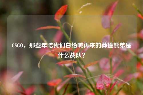 CSGO,那些年陪我们白给喊再来的莽撞熊弟是什么战队?