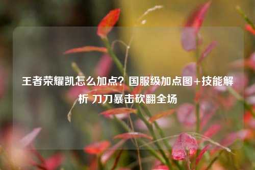 王者荣耀凯怎么加点？国服级加点图+技能解析 刀刀暴击砍翻全场