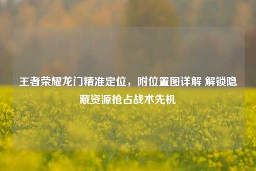 王者荣耀龙门精准定位,附位置图详解 解锁隐藏资源抢占战术先机