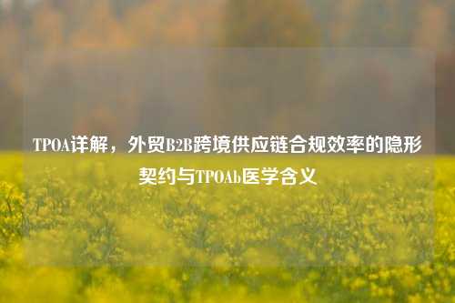 TPOA详解,外贸B2B跨境供应链合规效率的隐形契约与TPOAb医学含义