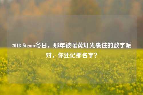 2018 Steam冬日,那年被暖黄灯光裹住的数字派对,你还记那名字?