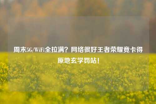 周末5G/WiFi全拉满? *** 很好王者荣耀竟卡得原地玄学罚站!