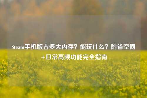 Steam手机版占多大内存?能玩什么?附省空间+日常高频功能完全指南