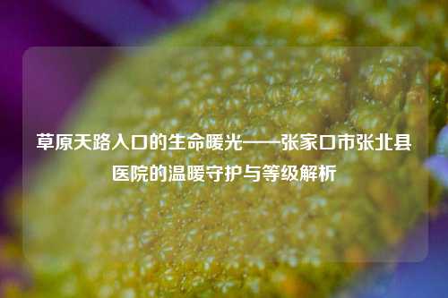 草原天路入口的生命暖光——张家口市张北县医院的温暖守护与等级解析