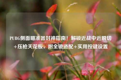 PUBG侧面瞄准器封神指南!解锁近战中近瞬切+压枪天花板,附全镜适配+实用按键设置