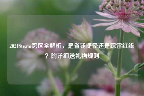 2021Steam跨区全解析，是省钱捷径还是踩雷红线？附详细送礼物规则