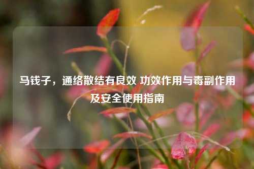 马钱子,通络散结有良效 功效作用与毒副作用及安全使用指南