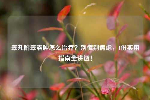 睾丸附睾囊肿怎么治疗？别慌别焦虑，1份实用指南全讲透！