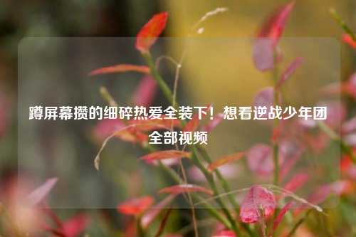 蹲屏幕攒的细碎热爱全装下!想看逆战少年团全部视频