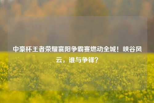 中豪杯王者荣耀襄阳争霸赛燃动全城!峡谷风云,谁与争锋?