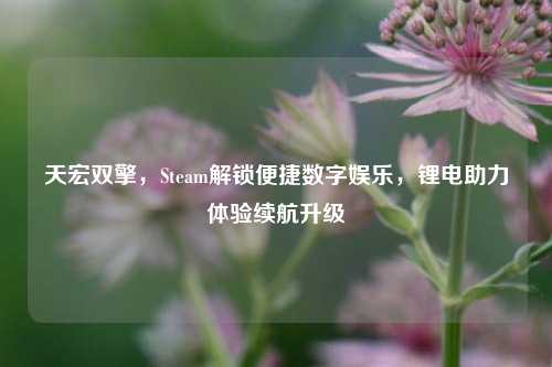 天宏双擎，Steam解锁便捷数字娱乐，锂电助力体验续航升级