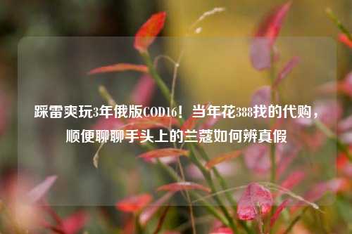 踩雷爽玩3年俄版COD16!当年花388找的 *** ,顺便聊聊手头上的兰蔻如何辨真假
