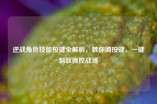 逆战角色技能按键全解析,教你调按键,一键制敌操控战场