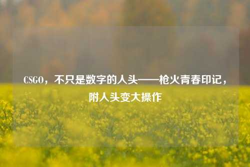 CSGO，不只是数字的人头——枪火青春印记，附人头变大操作