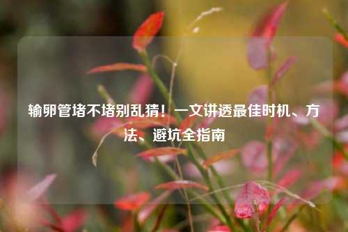 输卵管堵不堵别乱猜！一文讲透更佳时机、 *** 、避坑全指南