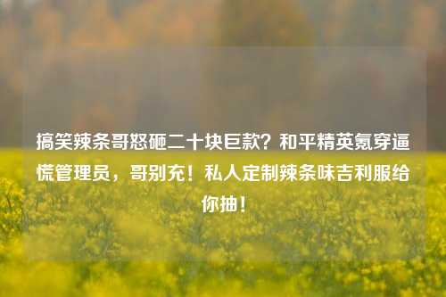 搞笑辣条哥怒砸二十块巨款?和平精英氪穿逼慌管理员,哥别充!私人定制辣条味吉利服给你抽!