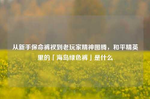 从新手保命裤衩到老玩家精神图腾,和平精英里的「海岛绿色裤」是什么