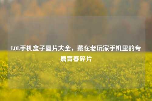 LOL手机盒子图片大全，藏在老玩家手机里的专属青春碎片
