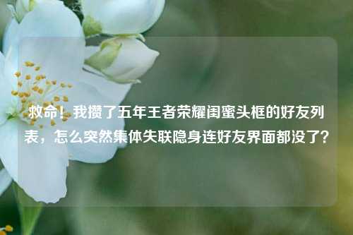 救命!我攒了五年王者荣耀闺蜜头框的好友列表,怎么突然集体失联隐身连好友界面都没了?