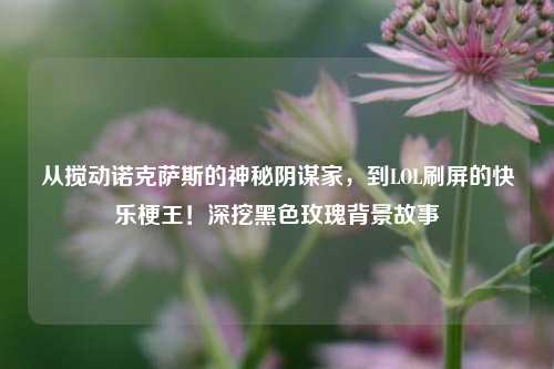 从搅动诺克萨斯的神秘阴谋家,到LOL刷屏的快乐梗王!深挖黑色玫瑰背景故事