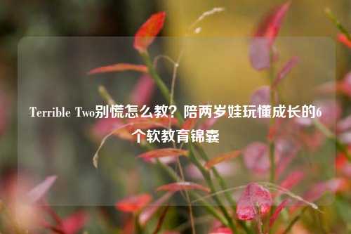 Terrible Two别慌怎么教？陪两岁娃玩懂成长的6个软教育锦囊