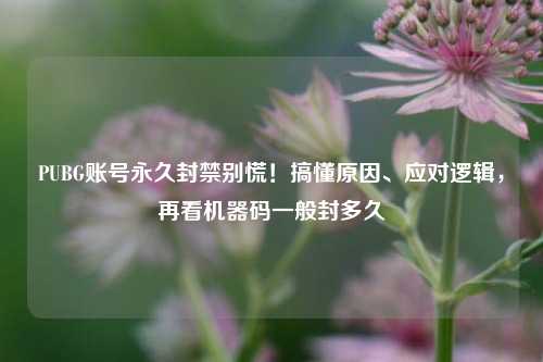 PUBG账号永久封禁别慌!搞懂原因、应对逻辑,再看机器码一般封多久