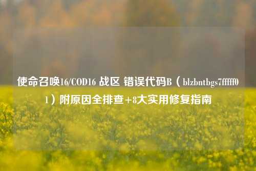 使命召唤16/COD16 战区 错误代码B（blzbntbgs7fffff01）附原因全排查+8大实用修复指南
