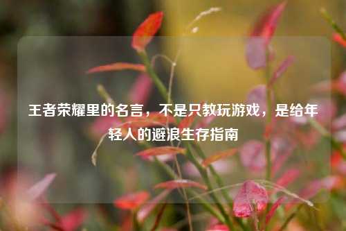 王者荣耀里的名言，不是只教玩游戏，是给年轻人的避浪生存指南