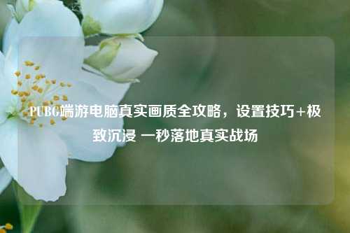 PUBG端游电脑真实画质全攻略，设置技巧+极致沉浸 一秒落地真实战场