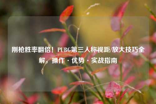 刚枪胜率翻倍!PUBG第三人称视距/放大技巧全解,操作·优势·实战指南