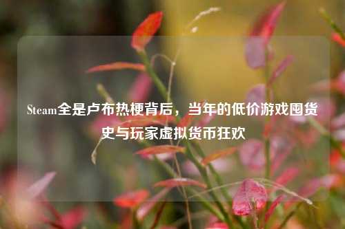 Steam全是卢布热梗背后，当年的低价游戏囤货史与玩家虚拟货币狂欢