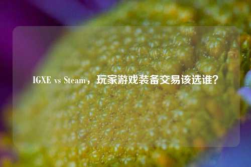 IGXE vs Steam,玩家游戏装备交易该选谁?