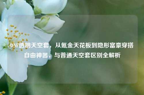 DNF透明天空套,从氪金天花板到隐形富豪穿搭自由神器,与普通天空套区别全解析