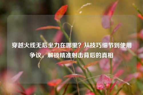 穿越火线无后坐力在哪里?从技巧细节到使用争议,解锁精准射击背后的真相