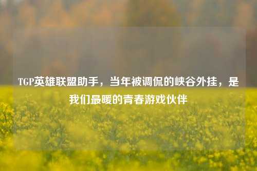 TGP英雄联盟助手,当年被调侃的峡谷外挂,是我们最暖的青春游戏伙伴