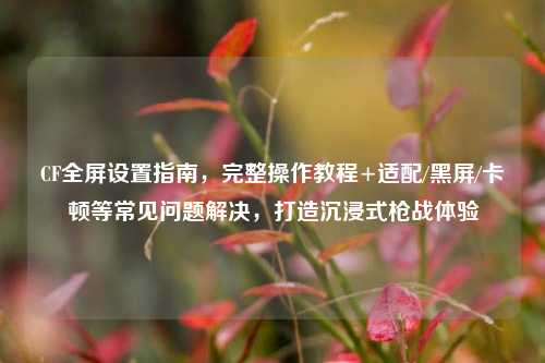 CF全屏设置指南,完整操作教程+适配/黑屏/卡顿等常见问题解决,打造沉浸式枪战体验