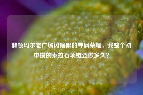 赫顿玛尔老广场闪瞎眼的专属荣耀,我整个初中攒的泰拉石项链要做多久?