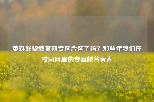 英雄联盟教育网专区合区了吗?那些年我们在校园网里的专属峡谷青春
