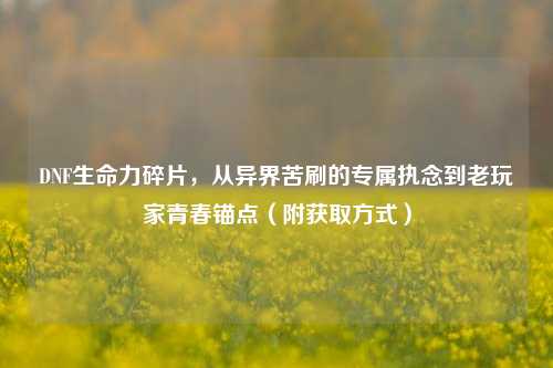 DNF生命力碎片,从异界苦刷的专属执念到老玩家青春锚点(附获取方式)