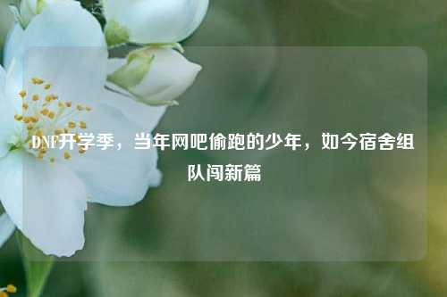 DNF开学季,当年网吧偷跑的少年,如今宿舍组队闯新篇