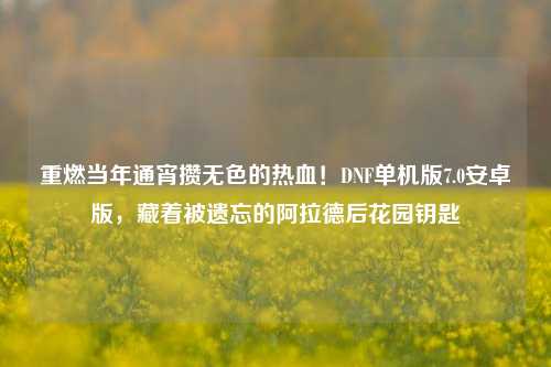 重燃当年通宵攒无色的热血!DNF单机版7.0安卓版,藏着被遗忘的阿拉德后花园钥匙