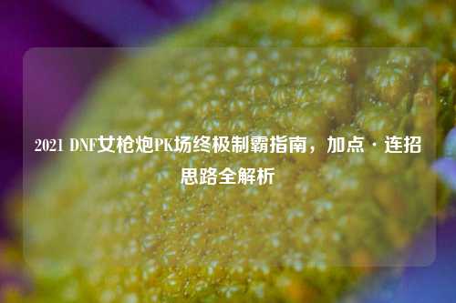 2021 DNF女枪炮PK场终极制霸指南,加点·连招思路全解析