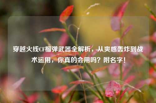 穿越火线CF榴弹武器全解析,从爽感轰炸到战术运用,你真的会用吗?附名字!