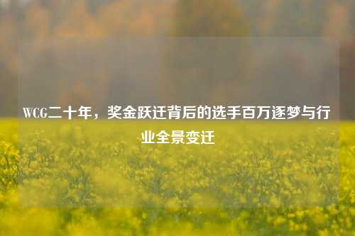 WCG二十年,奖金跃迁背后的选手百万逐梦与行业全景变迁