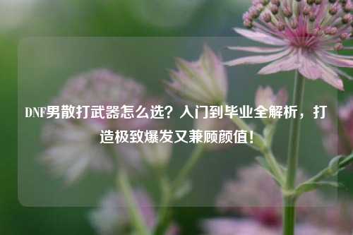 DNF男散打武器怎么选?入门到毕业全解析,打造极致爆发又兼顾颜值!