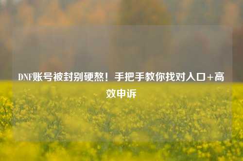 DNF账号被封别硬熬!手把手教你找对入口+高效申诉
