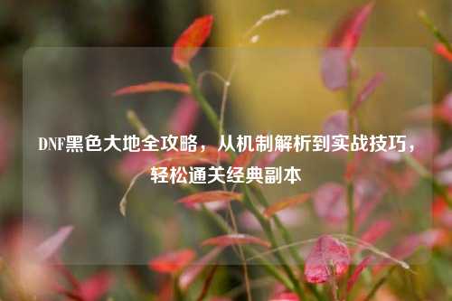 DNF黑色大地全攻略，从机制解析到实战技巧，轻松通关经典副本