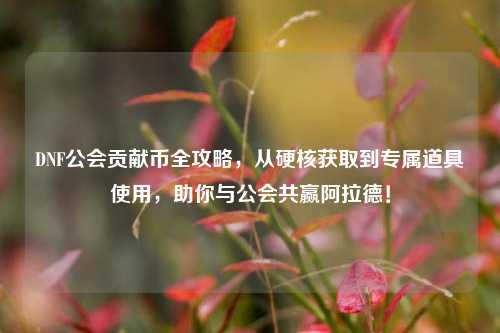 DNF公会贡献币全攻略,从硬核获取到专属道具使用,助你与公会共赢阿拉德!