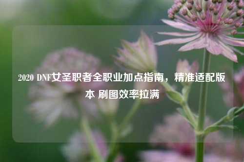 2020 DNF女圣职者 *** 业加点指南,精准适配版本 刷图效率拉满