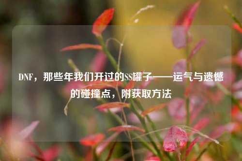 DNF,那些年我们开过的SS罐子——运气与遗憾的碰撞点,附获取 ***